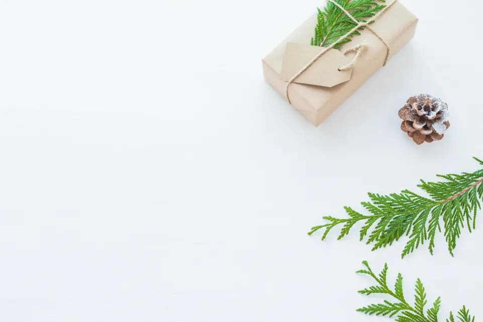 A small gift wrapped in brown kraft paper and twine beside a pine cone and evergreen sprigs on white